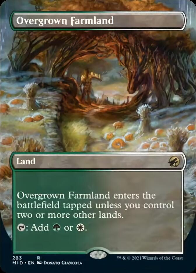 Overgrown Farmland (Borderless Alternate Art) [Innistrad: Midnight Hunt] | Black Swamp Games