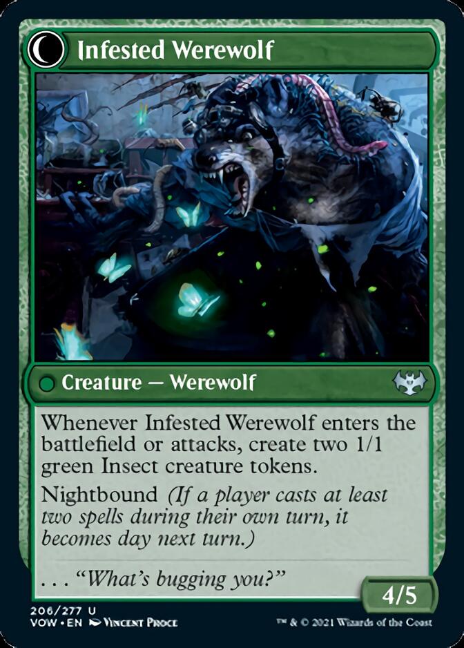 Infestation Expert // Infested Werewolf [Innistrad: Crimson Vow] | Black Swamp Games