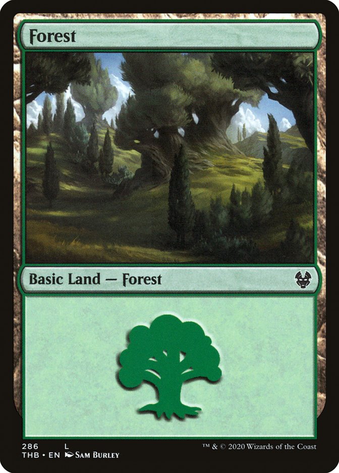 Forest (286) [Theros Beyond Death] | Black Swamp Games