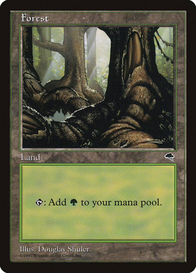 Forest (Large Roots) [Tempest] | Black Swamp Games