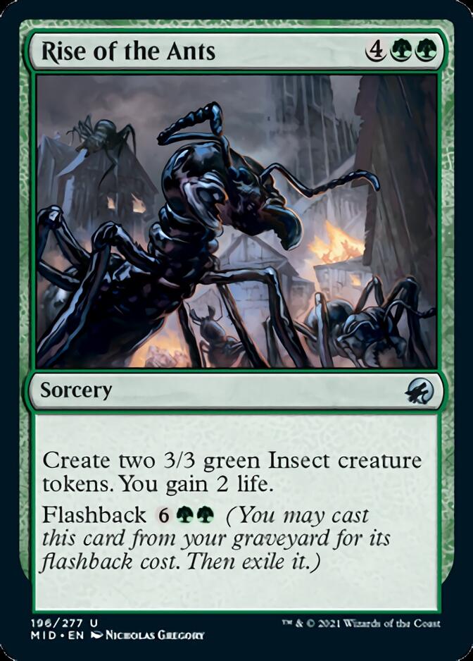 Rise of the Ants [Innistrad: Midnight Hunt] | Black Swamp Games