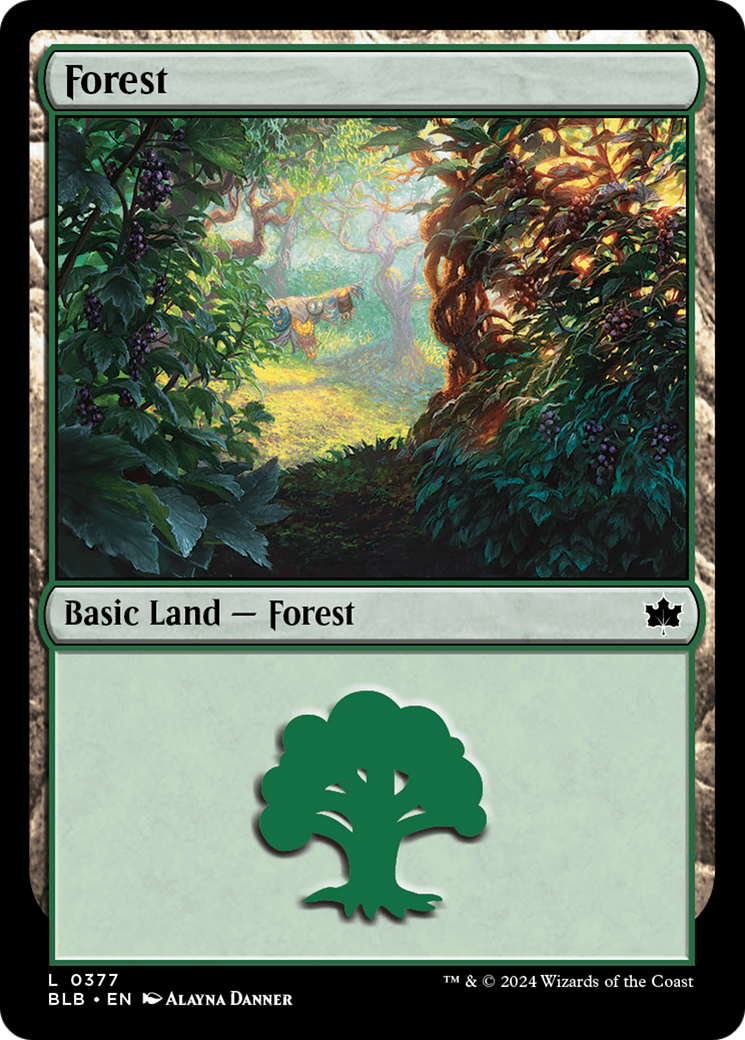 Forest (0377) [Bloomburrow] | Black Swamp Games