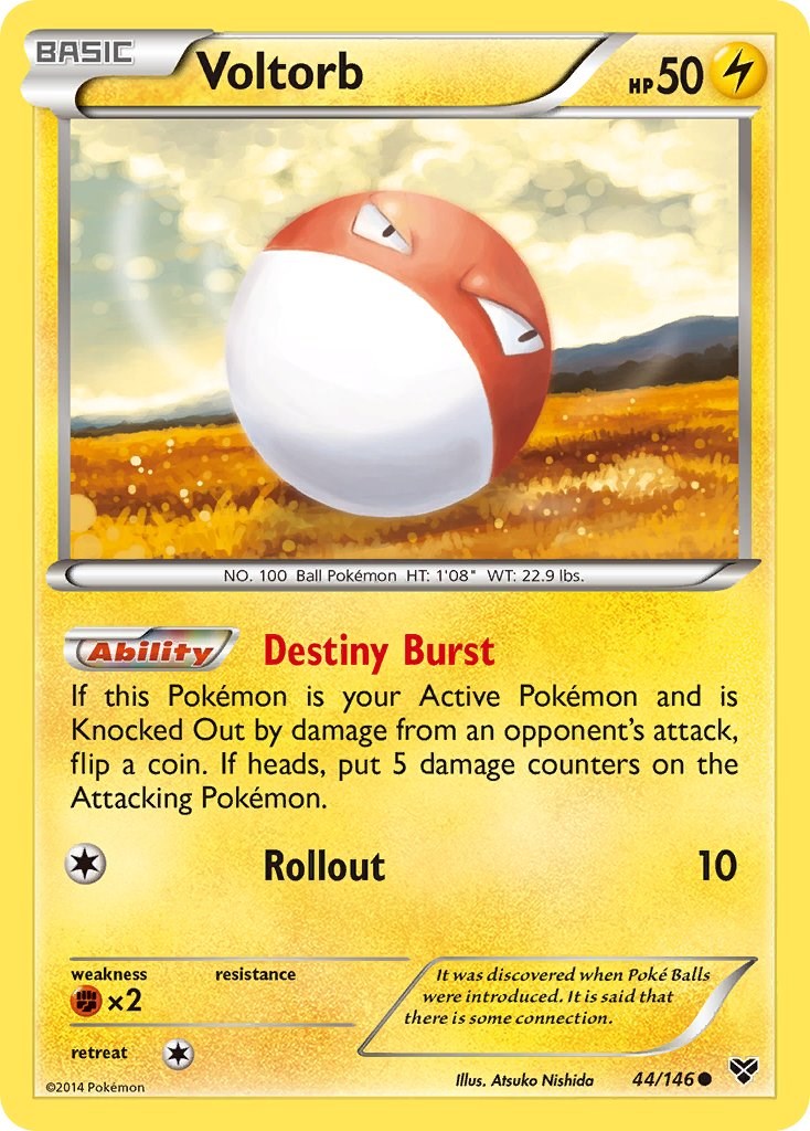 Voltorb (44/146) [XY: Base Set] | Black Swamp Games