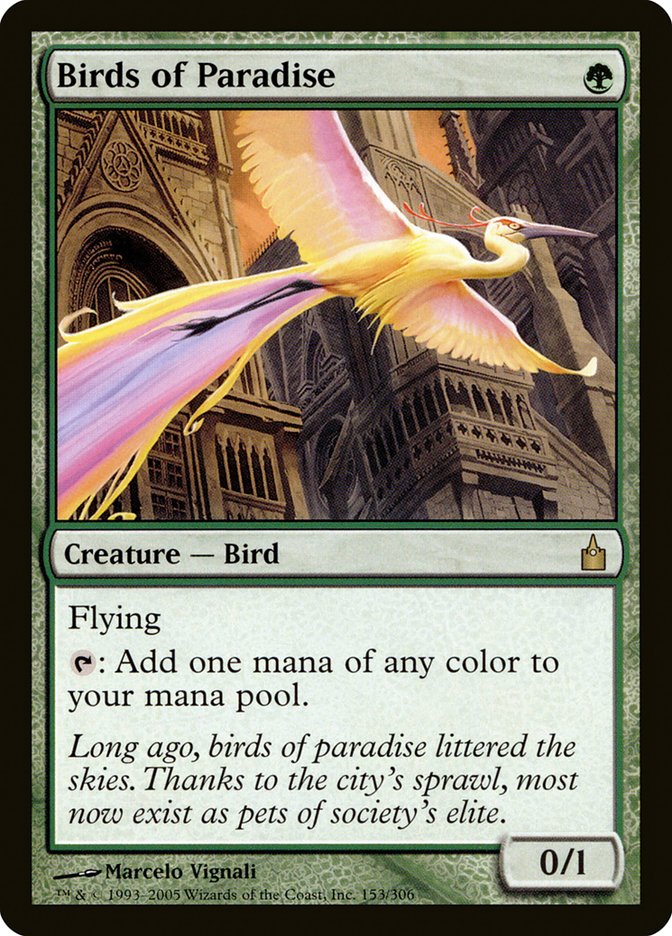 Birds of Paradise [Ravnica: City of Guilds] | Black Swamp Games