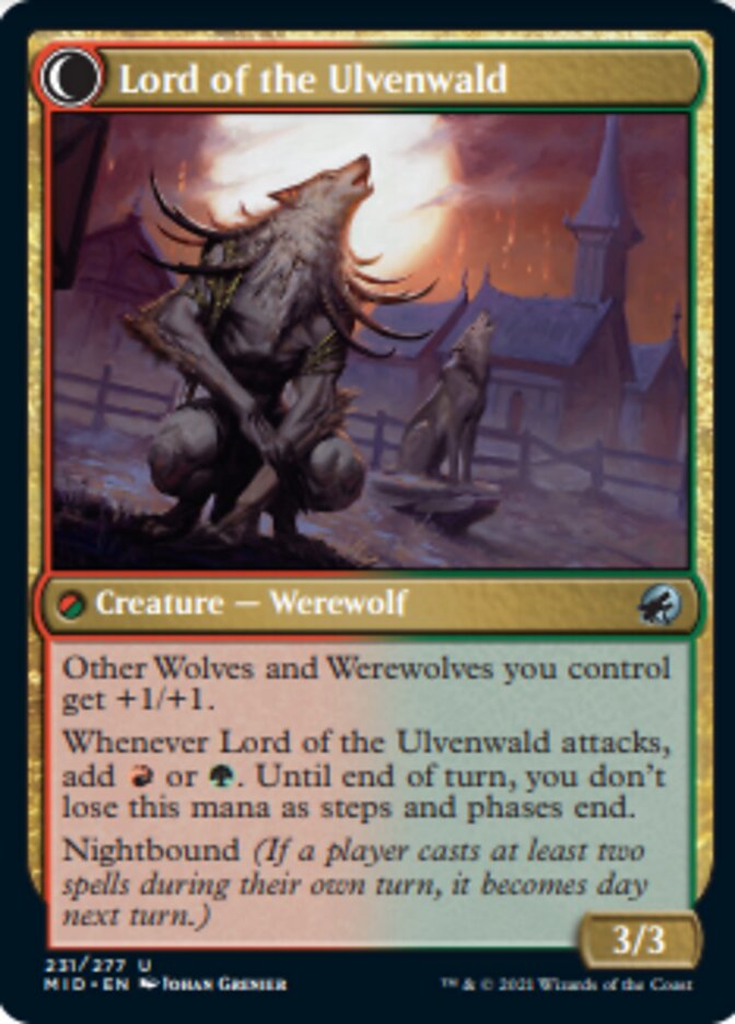 Kessig Naturalist // Lord of the Ulvenwald [Innistrad: Midnight Hunt] | Black Swamp Games