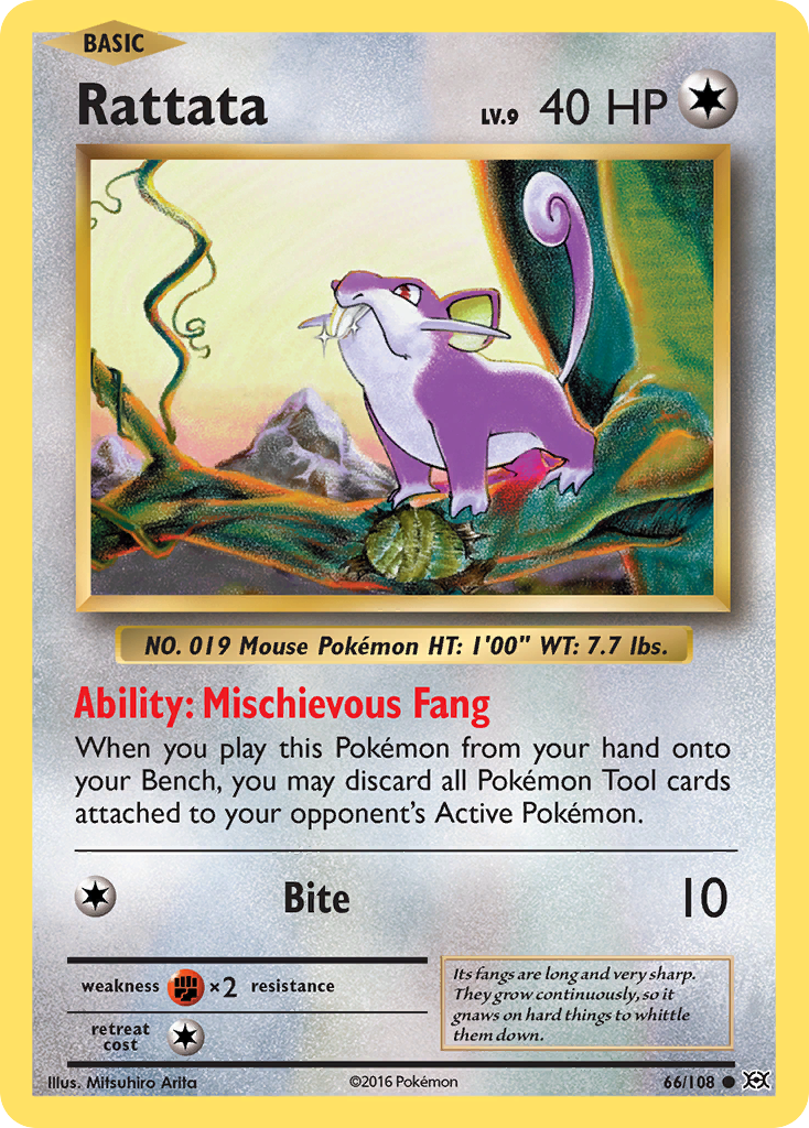 Rattata (66/108) [XY: Evolutions] | Black Swamp Games