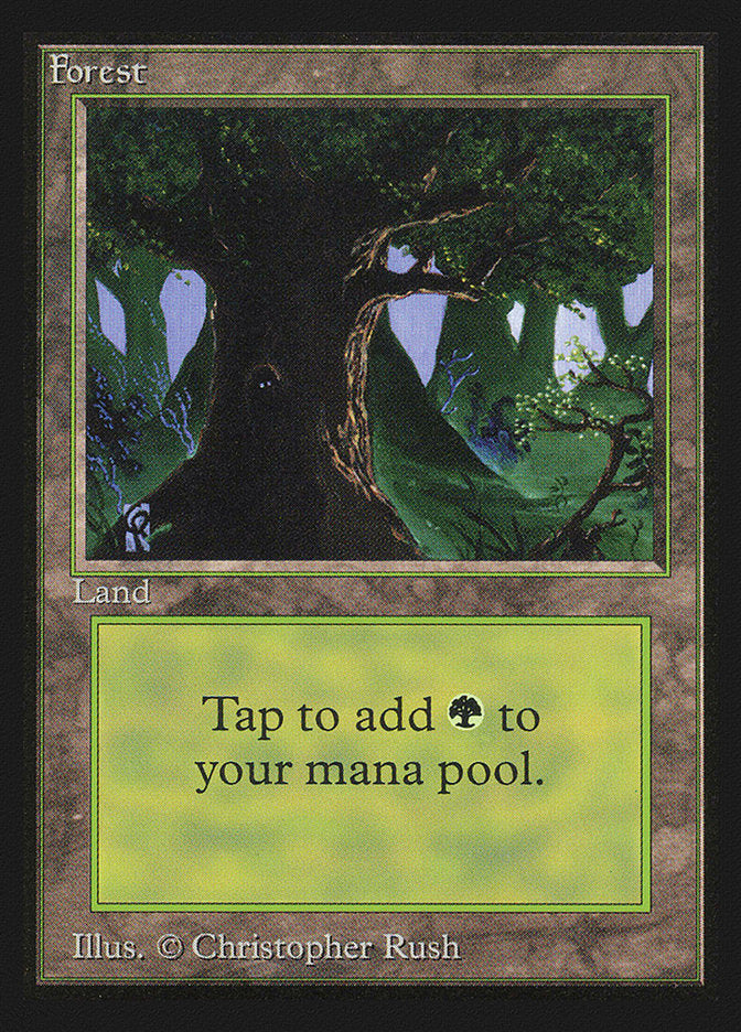 Forest (Eyes in Tree) [Collectors' Edition] | Black Swamp Games