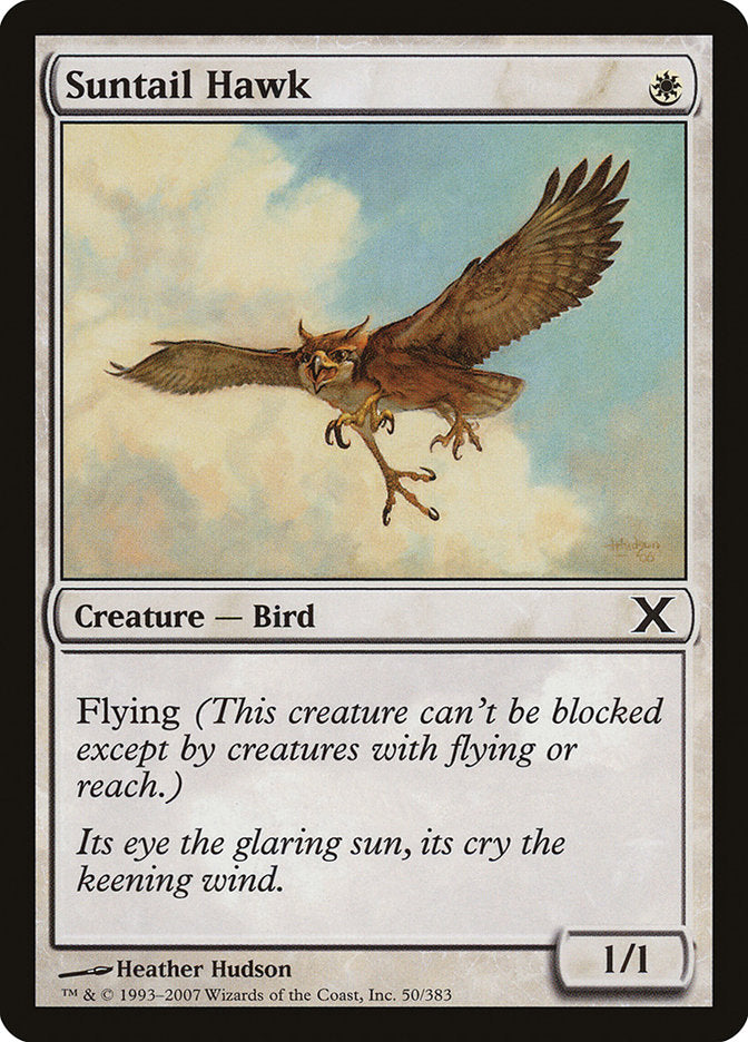 Suntail Hawk [Tenth Edition] | Black Swamp Games