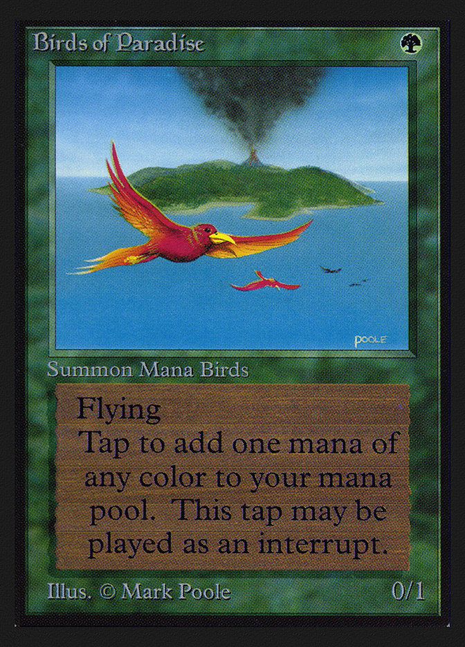 Birds of Paradise [Collectors' Edition] | Black Swamp Games