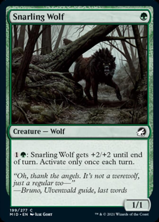 Snarling Wolf [Innistrad: Midnight Hunt] | Black Swamp Games