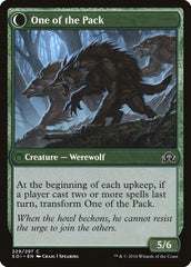 Solitary Hunter // One of the Pack [Shadows over Innistrad] | Black Swamp Games