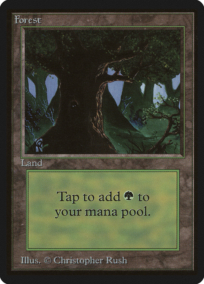 Forest (302) [Beta Edition] | Black Swamp Games