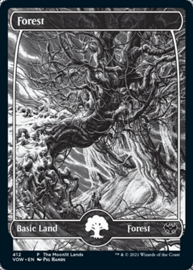 Forest (The Moonlit Lands) (Foil Etched) [Innistrad: Crimson Vow Promos] | Black Swamp Games