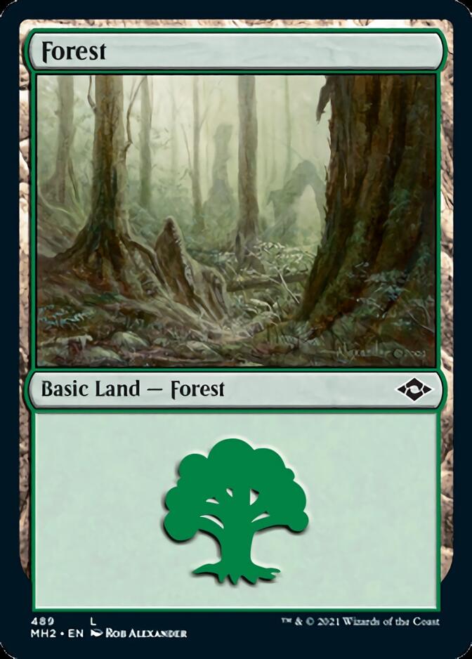 Forest (489) [Modern Horizons 2] | Black Swamp Games
