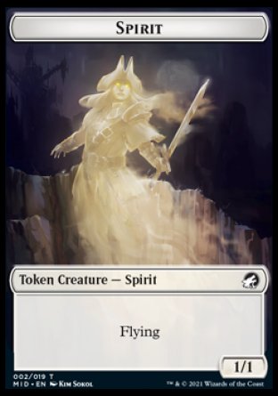 Spirit // Spider Double-Sided Token [Innistrad: Midnight Hunt Tokens] | Black Swamp Games