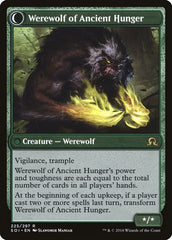Sage of Ancient Lore // Werewolf of Ancient Hunger [Shadows over Innistrad] | Black Swamp Games