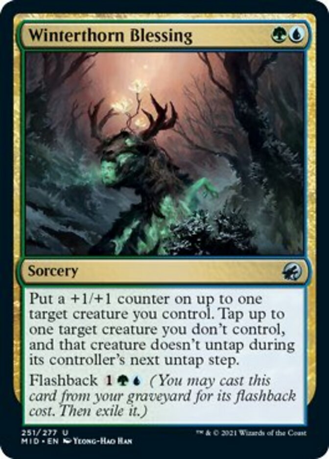 Winterthorn Blessing [Innistrad: Midnight Hunt] | Black Swamp Games