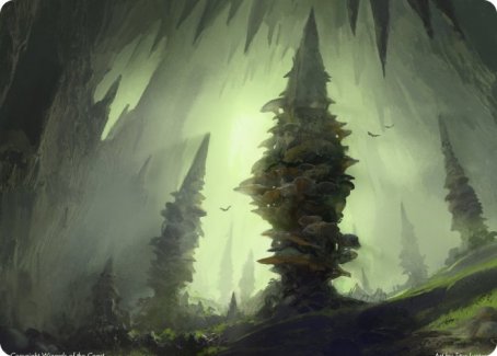 Forest (280) Art Card [Dungeons & Dragons: Adventures in the Forgotten Realms Art Series] | Black Swamp Games