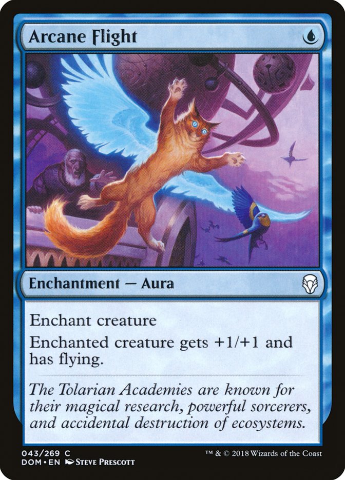 Arcane Flight [Dominaria] | Black Swamp Games
