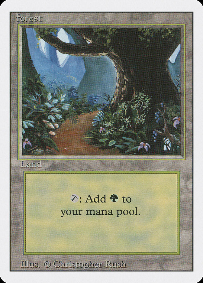 Forest (Flower Path) [Revised Edition] | Black Swamp Games