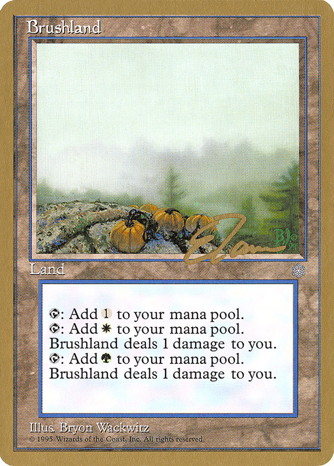 Brushland (Eric Tam) [Pro Tour Collector Set] | Black Swamp Games