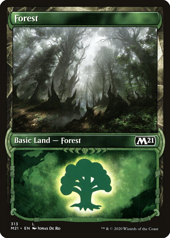 Forest (313) (Showcase) [Core Set 2021] | Black Swamp Games