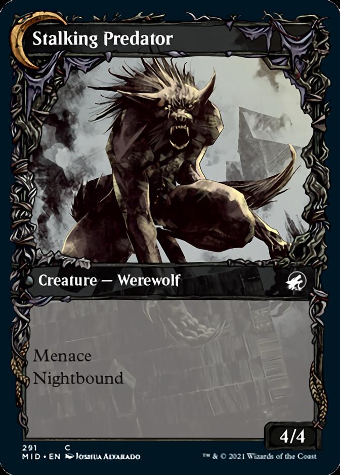 Shady Traveler // Stalking Predator (Showcase Equinox) [Innistrad: Midnight Hunt] | Black Swamp Games
