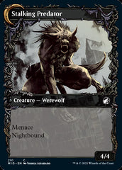 Shady Traveler // Stalking Predator (Showcase Equinox) [Innistrad: Midnight Hunt] | Black Swamp Games