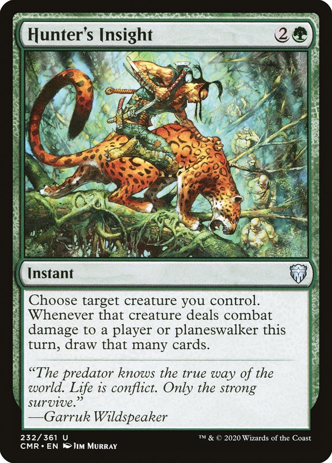 Hunter's Insight [Commander Legends] | Black Swamp Games