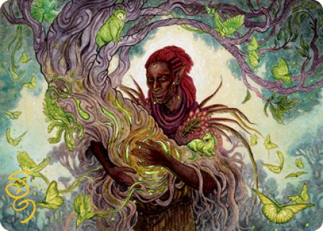 Circle of Dreams Druid Art Card (Gold-Stamped Signature) [Dungeons & Dragons: Adventures in the Forgotten Realms Art Series] | Black Swamp Games