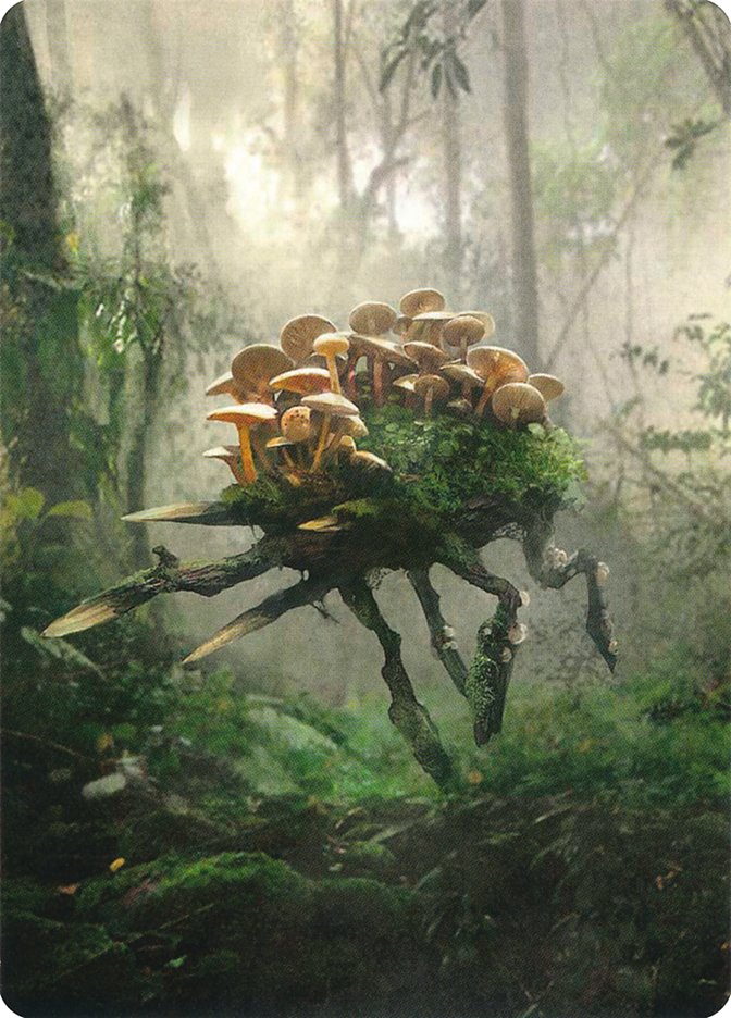 Saproling // Saproling Double-Sided Token [Unstable Tokens] | Black Swamp Games