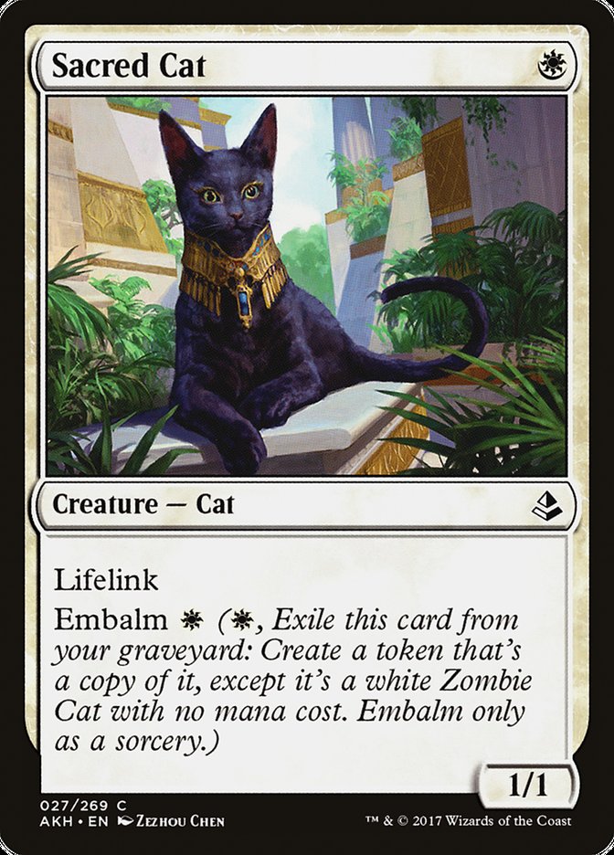 Sacred Cat [Amonkhet] | Black Swamp Games