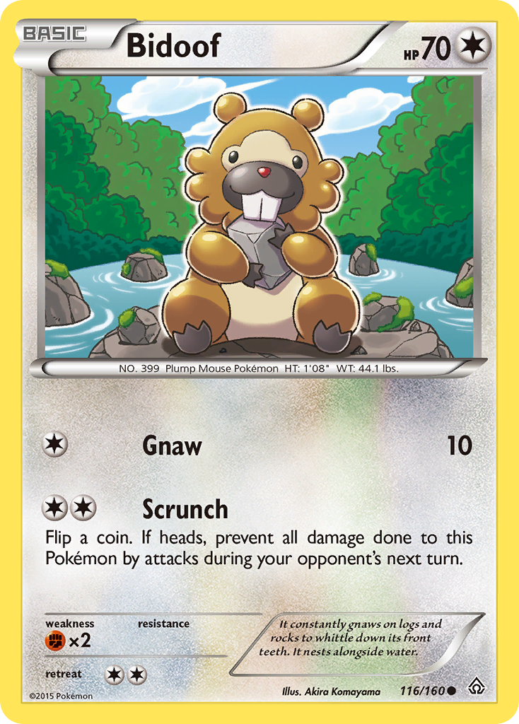 Bidoof (116/160) [XY: Primal Clash] | Black Swamp Games