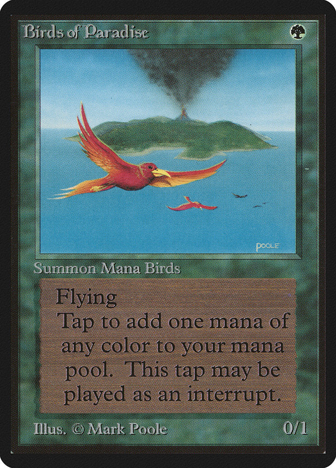Birds of Paradise [Beta Edition] | Black Swamp Games