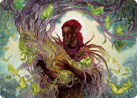 Circle of Dreams Druid Art Card [Dungeons & Dragons: Adventures in the Forgotten Realms Art Series] | Black Swamp Games