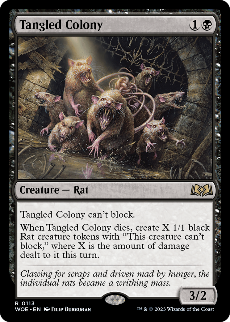Tangled Colony [Wilds of Eldraine] | Black Swamp Games
