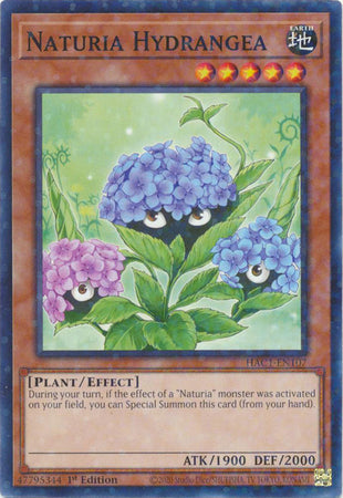 Naturia Hydrangea (Duel Terminal) [HAC1-EN107] Common | Black Swamp Games