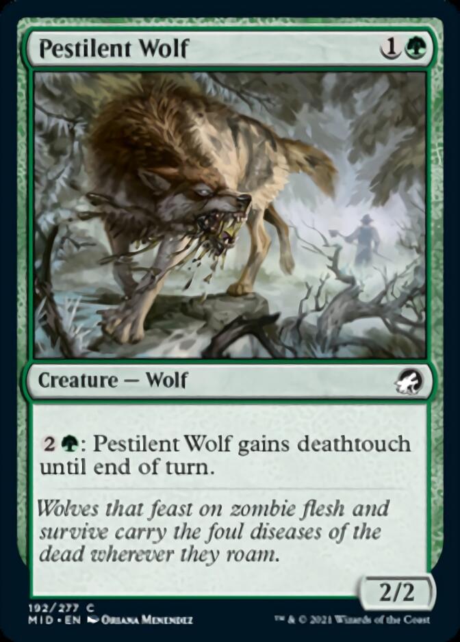 Pestilent Wolf [Innistrad: Midnight Hunt] | Black Swamp Games