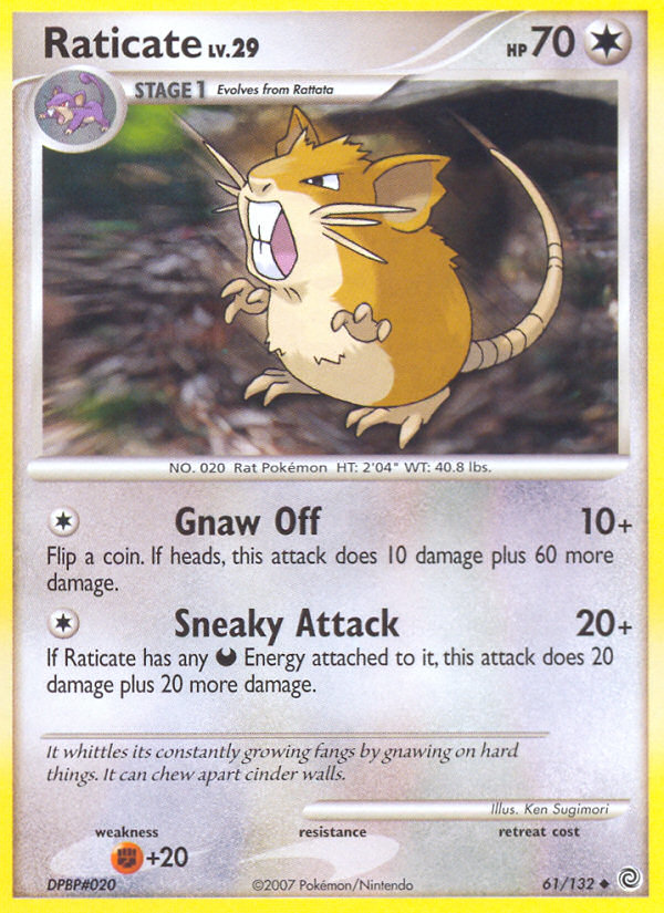 Raticate (61/132) [Diamond & Pearl: Secret Wonders] | Black Swamp Games