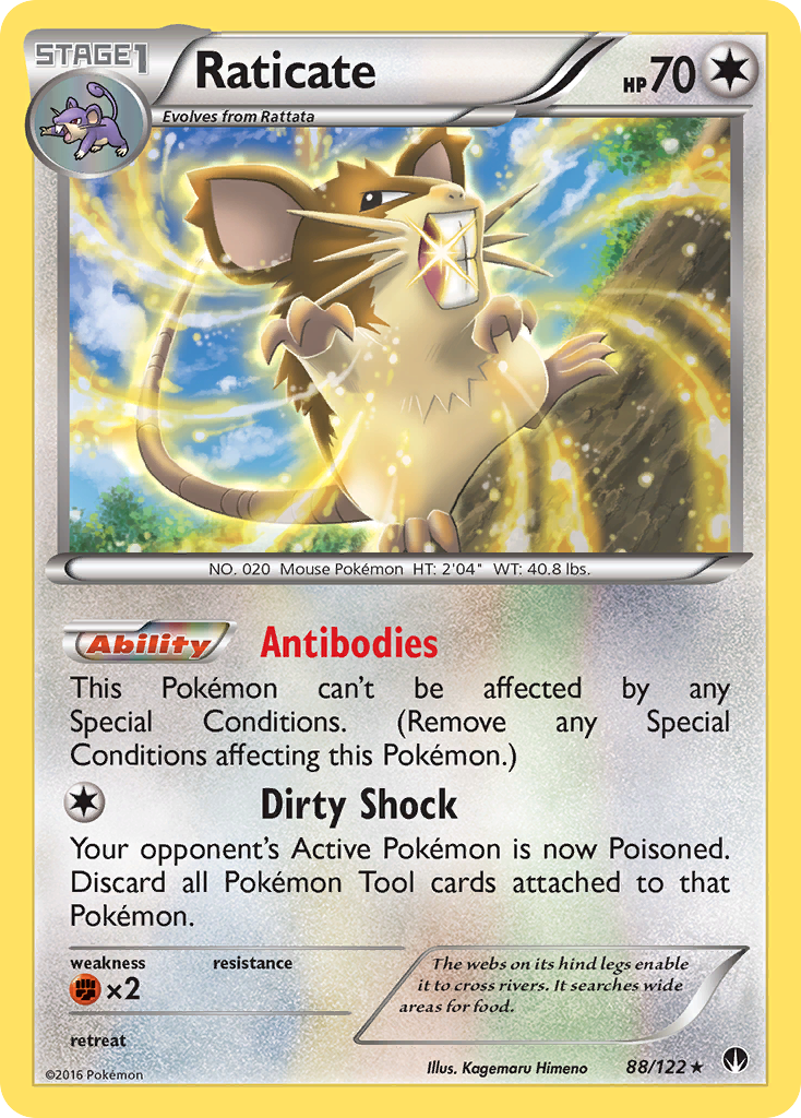 Raticate (88/122) [XY: BREAKpoint] | Black Swamp Games