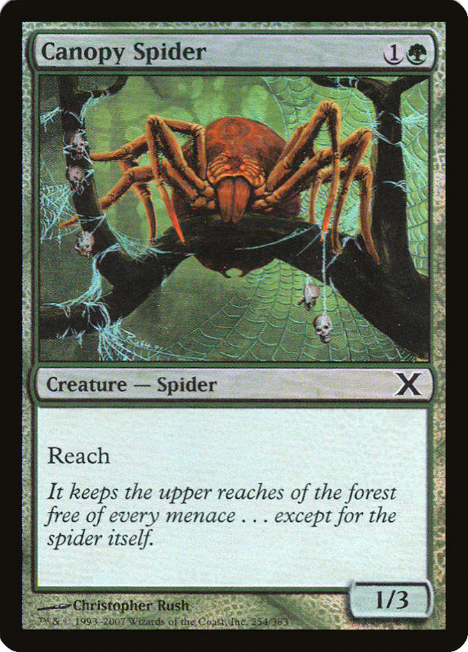 Canopy Spider (Premium Foil) [Tenth Edition] | Black Swamp Games