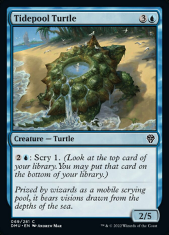 Tidepool Turtle [Dominaria United] | Black Swamp Games