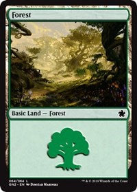 Forest (64) [Magic Game Night 2019] | Black Swamp Games