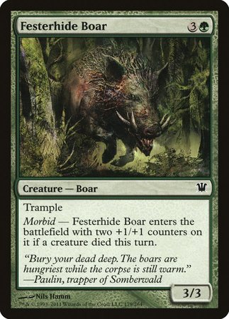 Festerhide Boar [Innistrad] | Black Swamp Games