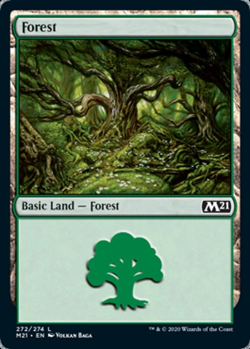 Forest [Core Set 2021] | Black Swamp Games