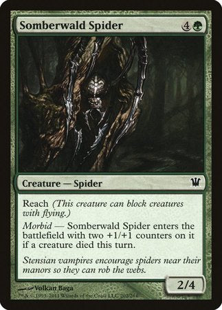 Somberwald Spider [Innistrad] | Black Swamp Games