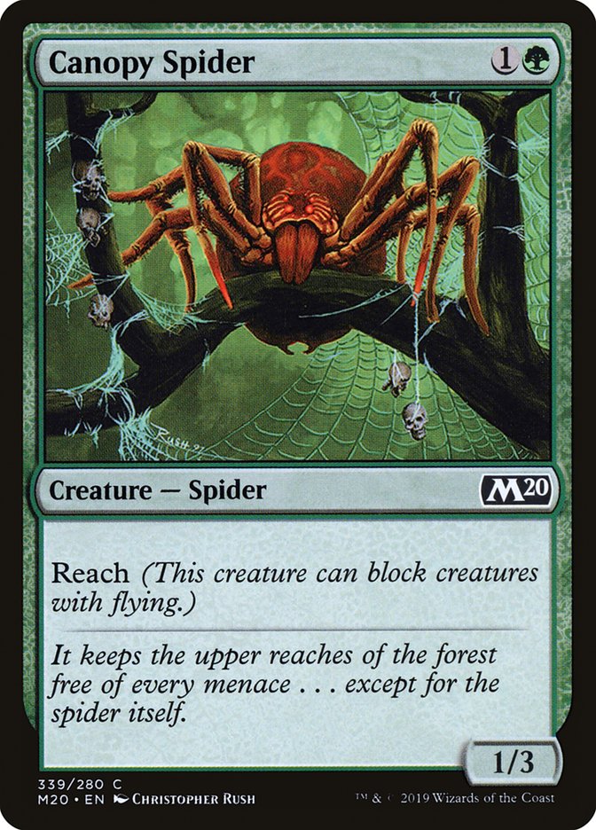 Canopy Spider [Core Set 2020] | Black Swamp Games
