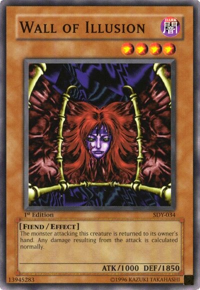 Wall of Illusion [SDY-034] Common | Black Swamp Games