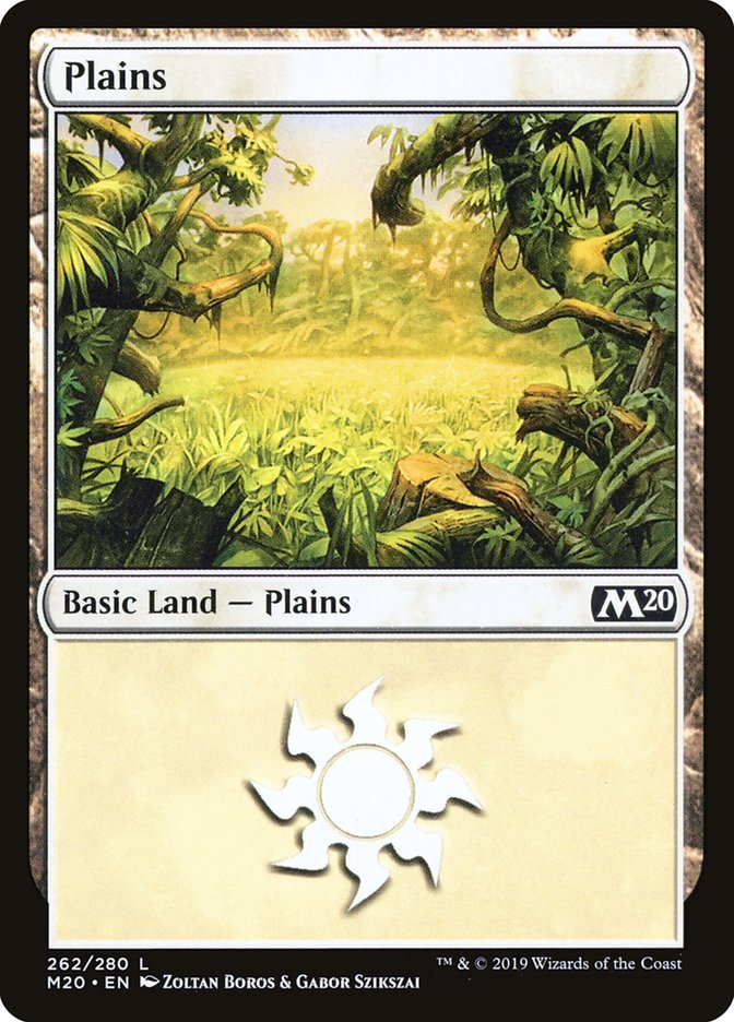 Plains (262) [Core Set 2020] | Black Swamp Games