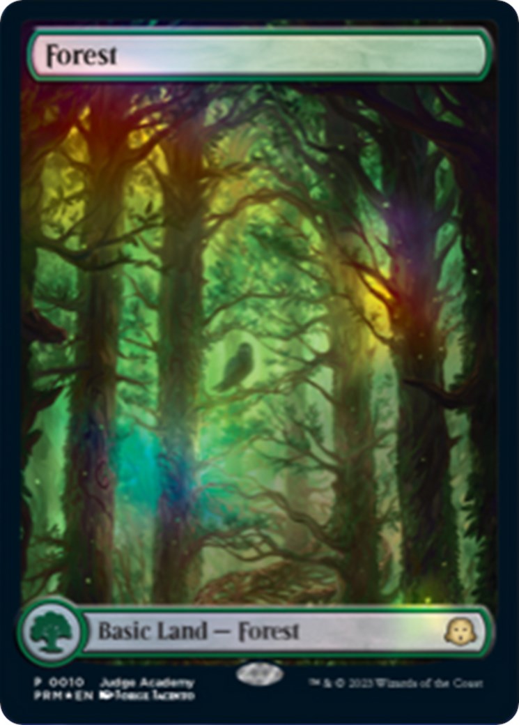 Forest [Judge Gift Cards 2023] | Black Swamp Games
